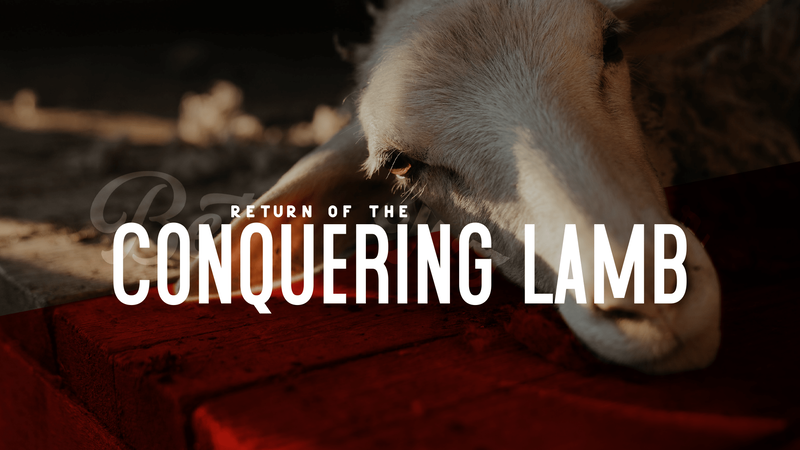 2021-09-12 Return of the Conquering Lamb