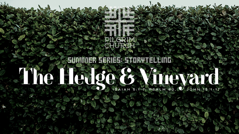 2022-08-14 Summer Series - The Hedge & Vineyard