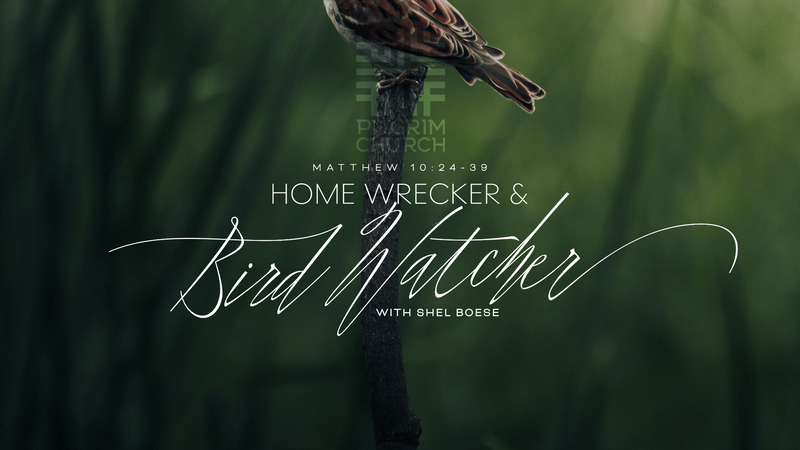 2023-06-25- Home Wrecker & Bird Watcher